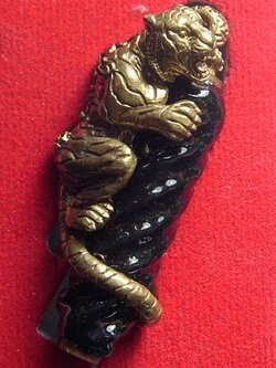 เสือพันหลักทอง รวยเพิ่มพูน