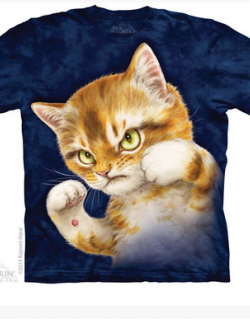 เสื้อ shirt 3D