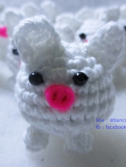 หมูจิ๋ว 11/2 นิ่้ว