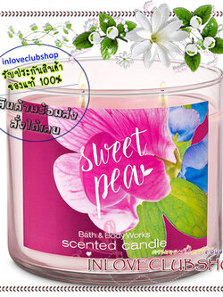 Bath & Body Works Slatkin & Co / Candle 14.5 oz. (Sweet Pea) *หอมหวานเหมือนกลิ่นเยลลี่