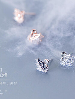 ต่างหู ตุ้มหูแฟชั่น