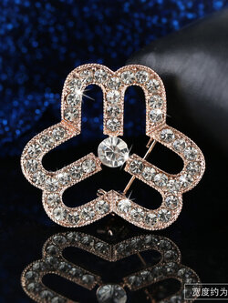 เข็มกลัด เข็มกลัดสวยๆ เข็มกลัดติดเสื้อ Brooch