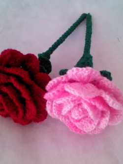 กุหลาบดอกใหญ่