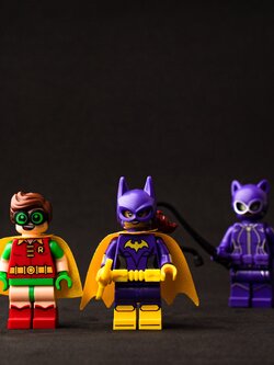 Robin โรบิน กับเพื่อนตัวม่วง