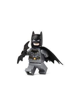 แบ๊ทแมน มีหู มีปีก บินไม่ได้