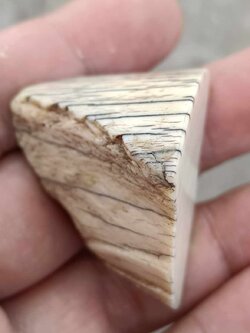 งากระเด็น