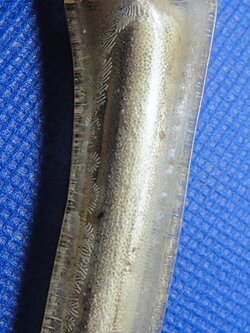 กระดูกอีแร้ง