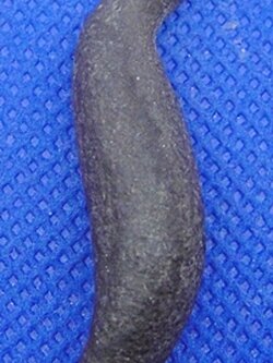 นกสาริกาเนื้อว่าน