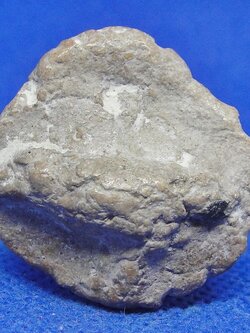 สาริกาเนื้อผงสมเด็จ