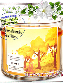 Bath & Body Works Slatkin & Co / Candle 14.5 oz. (Leaves) *หอมกลิ่นแอปเปิ้ลแดงและเครื่องเทศกานพลู