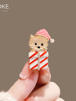 เข็มกลัด เข็มกลัดสวยๆ เข็มกลัดติดเสื้อ Brooch