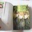 RUKA เย้ยอเวจี ครบชุดเล่ม 1-18 (เรื่องสั้นจบในเล่ม) / Miyuki Takahash