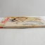 เจ้าสาวซาตาน เล่ม 21