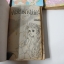 VIRGIN BLUE 4 เล่มจบ / Morioka Mari