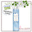 Bath & Body Works / Diamond Shimmer Mist 236 ml. (Gingham)