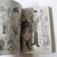 ลิขิตรักจากฟากฟ้า (เล่มเดียวจบ) / RIE NAKAMURA