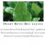 Jo Malone Blackberry & Bay Cologne 9 ml.