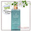 Bath & Body Works / Shower Gel 236 ml. (Autumn Nights) *Limited Edition