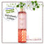 Bath & Body Works / Fragrance Mist 236 ml. (Champagne Toast)