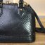 Louis Vuitton Black Python Alma BB