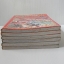 เมจิกไนท์ เรย์เอิร์ธ (ภาค 1) 6 เล่มจบ / Clamp