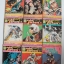 7 สิงห์ประจัญบาน เล่ม 1- 9 ( ครบชุด 10 เล่มจบ ) / มิกิย่า โมซิซูคิ