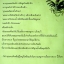 เรื่องซน ๆ ของโซฟี / เคาน์เตส เดอ เซกูร์ (วรรณกรรมเยาวชน)