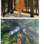 Dress4659 เดรสยาวลายดอกกุหลาบพื้นสีเหลือง แขนยาวสี่ส่วน ช่วงอกแต่งระบายเล็กๆ เพิ่มความน่ารัก ซิปหลังใส่ง่าย มีซับใน ผ้าชีฟองเนื้อดีนุ่มใส่สบาย ทรงนี้ดูดีใส่สวยได้ทุกโอกาส