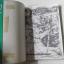 เมจิกไนท์ เรย์เอิร์ธ ภาค1+ภาค2 (จบครบชุด) / CLAMP
