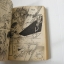 ชะตารักจากฟากฟ้า (เล่มเดียวจบ) / ASAGIRI YUU