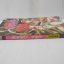 นินจาสาวอาซูกะ เล่ม 1