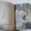 สุดห้ามใจรัก (เล่มเดียวจบ) / Hiromi Kobayashi