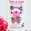 Ted A Car / Air Freshener (Blossom)