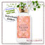 Bath & Body Works / Body Lotion 236 ml. (Peach Prosecco Macaron)