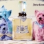 Juicy Couture (EAU DE PARFUM) 1.5 ml.