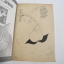 โมโมทาโร่ ฉบับเฮฮา ( เล่มเดียวจบ )
