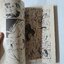 ความรักในเวนิส (เล่มเดียวจบ) / Chieko Hosokawa