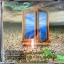 CD เสียงเพรียกแห่งชีวิต2