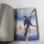 สาวน้อยแสนกล ภาค1 เล่ม 1-2 ( 3 เล่มจบ ) /ฮิคาวะ เคียวโกะ