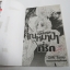 คุณหมาป่าที่รัก 10 เล่มจบ + ภาคพิเศษ 2 เล่ม / Omi Tomu