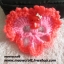 ไหมพรม กว้าง 9 ซม.hello kitty เล็ก #044-033