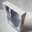 Flower Vase : กลกุณฑี 2 เล่มจบ + เล่มพิเศษ + Box