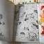 อากาเนะ สาวหน้าใสวัยเวอร์จิ้นเล่ม 8 เล่มจบ / โนริยูกิ ยามาฮาน่า