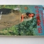 บันทึกบนหลังช้างย่ำรอยสยาม / Ian Balchin