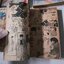 Orange Road 1,4-8 (8 เล่มจบ) / Matsumoto Izumi