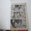 The last man เล่ม 1-6
