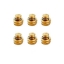 โครงเตาใช้กับถัง 4 กก (ปิคนิค) ไม่รวมจัดส่ง