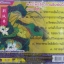 CD เพลงบทสวด พระโพธิสัตว์กวนอิมพันมือ มงคล2