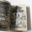 คืนชีพอสูร (เล่มเดียวจบ) / ISHIKAWA KEN