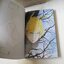 A Wonder Boy หนุ่มน้อยทะลุมิติ 8 เล่มจบ / kazumi yamashta